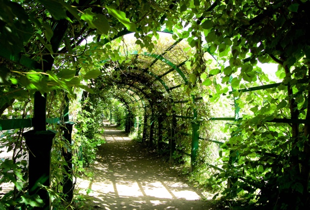 מאמר על פרגולה