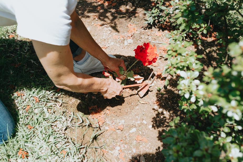 איך לטפח גינה בלי כלי גינה