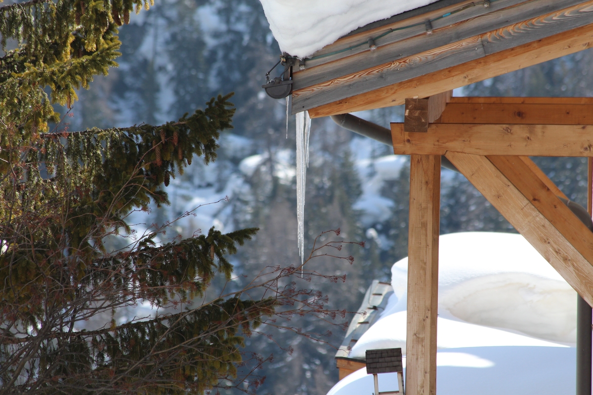 איך שומרים על סנטף בחורף