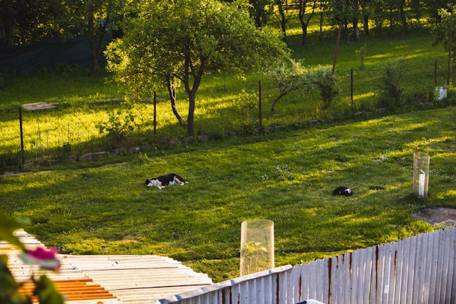 סוגי לכלוך וכתמים בגדרות