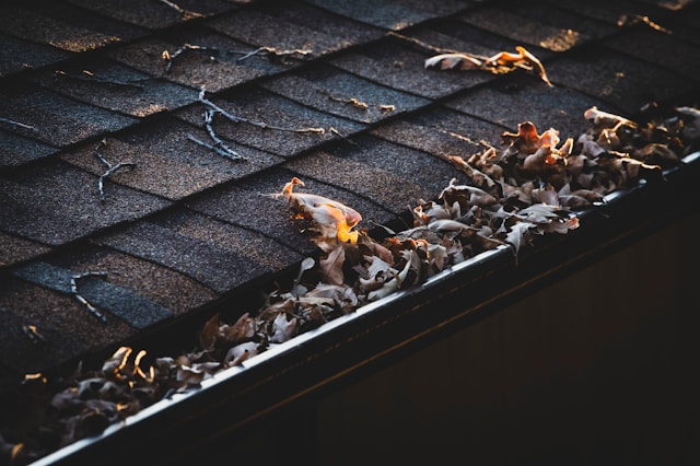 תקלות נפוצות במרזבים: מדריך עשה זאת בעצמך לתיקון ותחזוקה