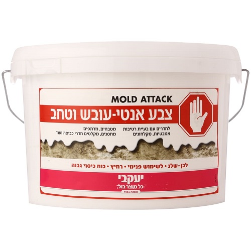 צבע אנטי עובש וטחב