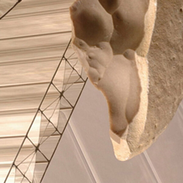 לוחות "פוליגל" במבנה Titan Sky