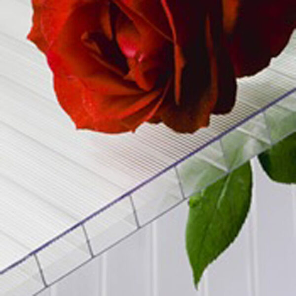 לוחות פוליגל במבנה סלקטוגל