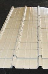 פחי אסכורית