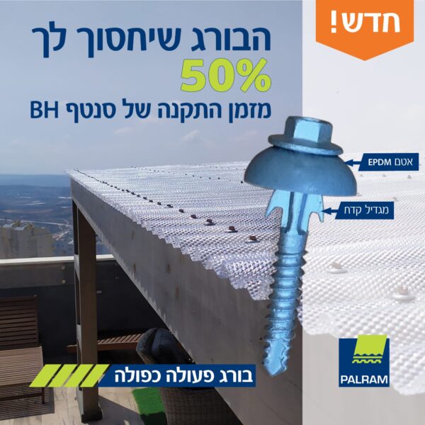 בורג הפעולה הכפולה ללוחות  BH - חדש!!!!