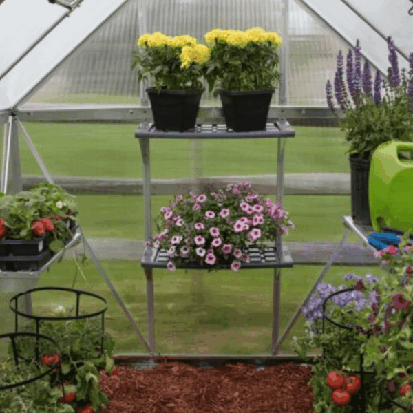 זוג מדפי פלסטיק לחממה מק"ט 0550h