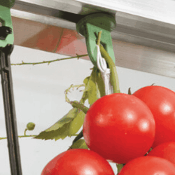 ערכת 10 מתלים לעציצים לחממה מק"ט 0650h