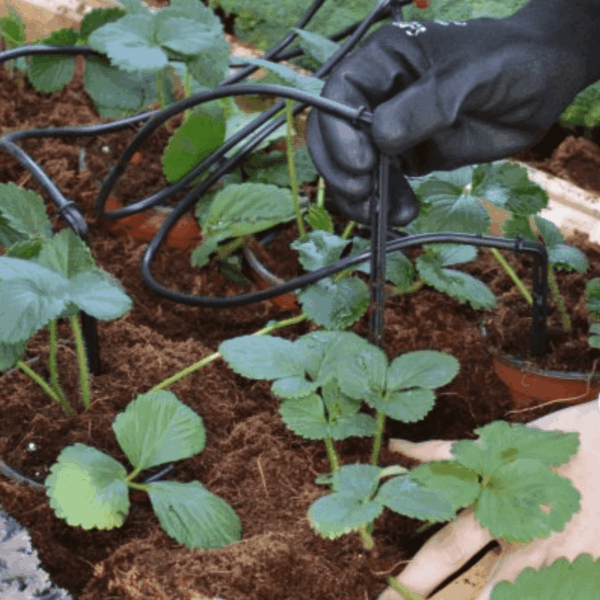 ערכת השקייה לחממה מק"ט 2043h